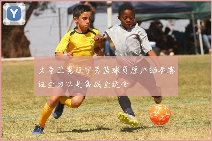力争卫冕辽宁男篮球员原帅晒参赛证全力以赴备战全运会