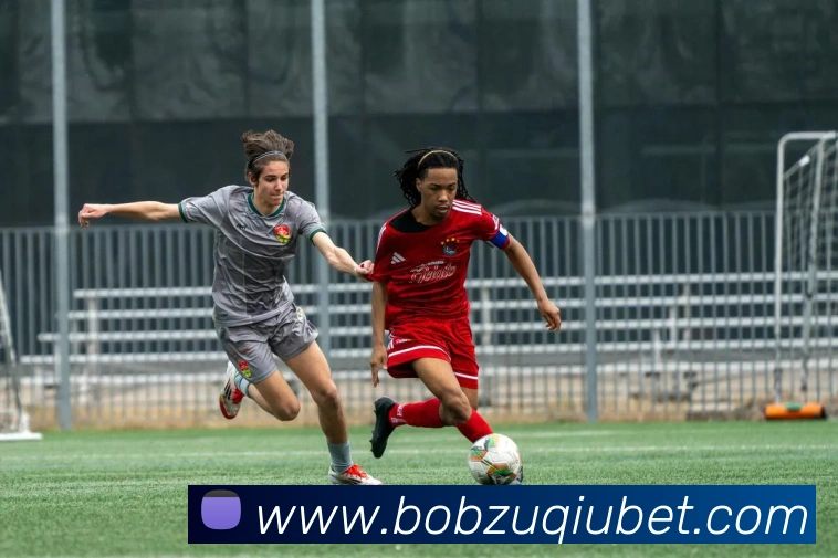 BOB体育APP 封面图